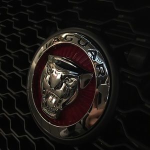 Meet your Posher, Jose